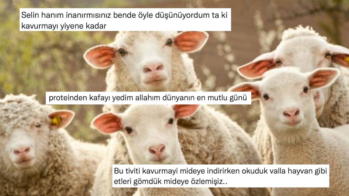 Kurban Bayramı İçin "Katliam Günü Başladı" Diyen Kullanıcıya Gelen Cevaplar!