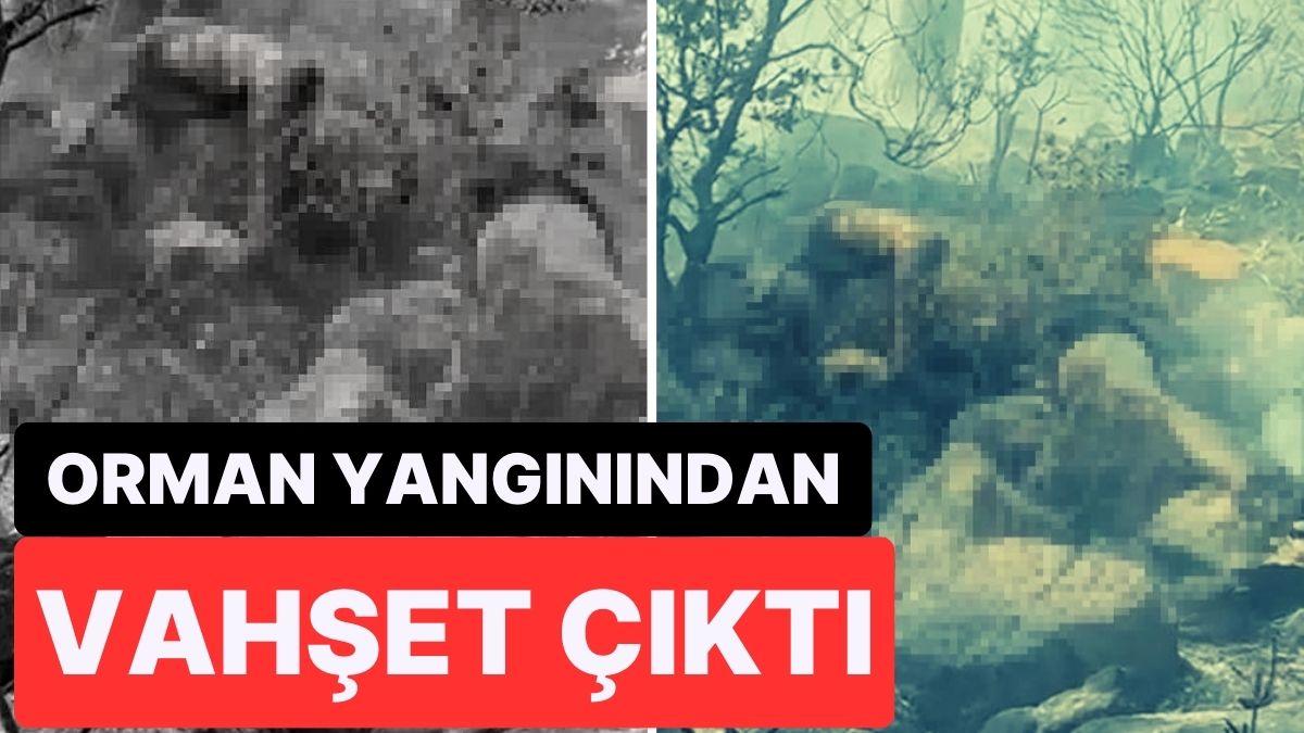 Marmaris’teki Orman Yangınından Vahşet Çıktı! Cesedi Ateşe Verirken Ormanı Yakmışlar!