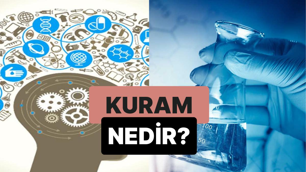 Rastgele Bir Olayı Açıklamak İçin Kullanılan Niyet Sistemi: Kuram Nedir?