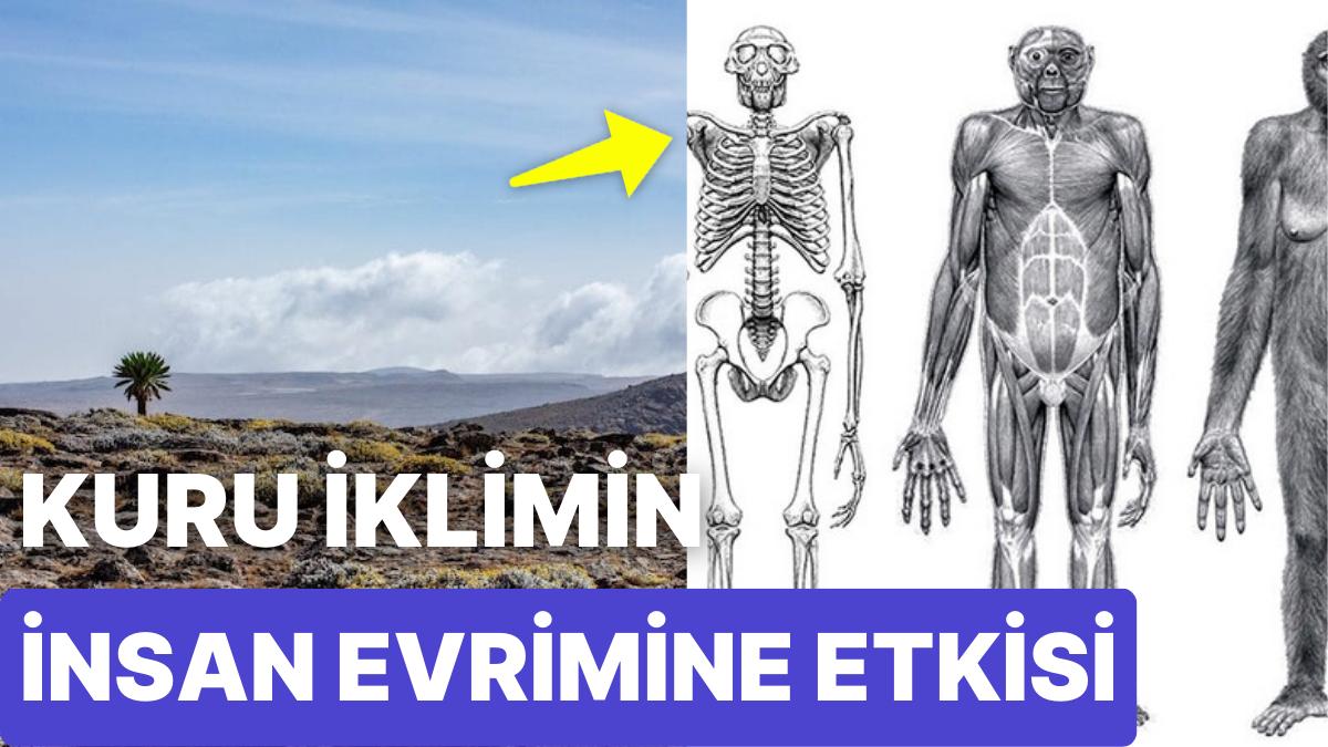 Kuru İklimin İnsan Evrimine Tesiri Nedir?