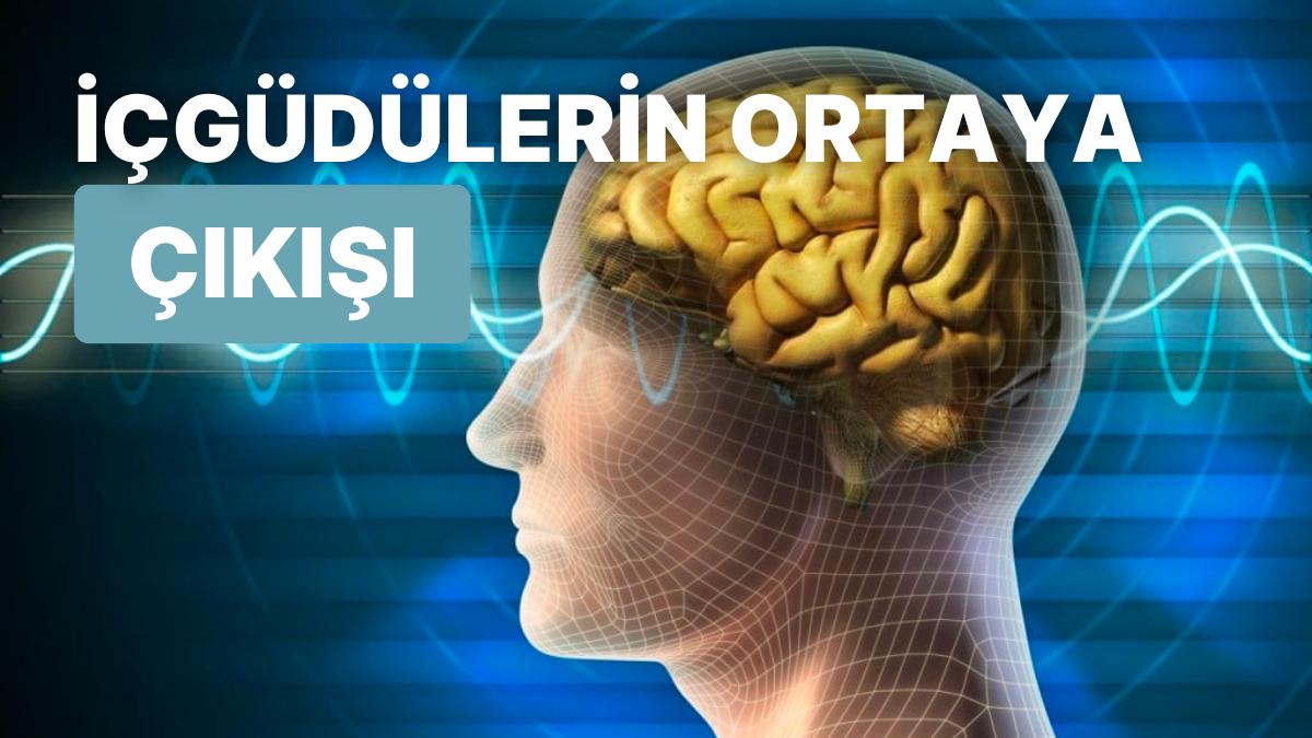 İçgüdü Olarak da Bildiğimiz Davranış Nasıl Oluyor da DNA’ya Kodlanıyor?