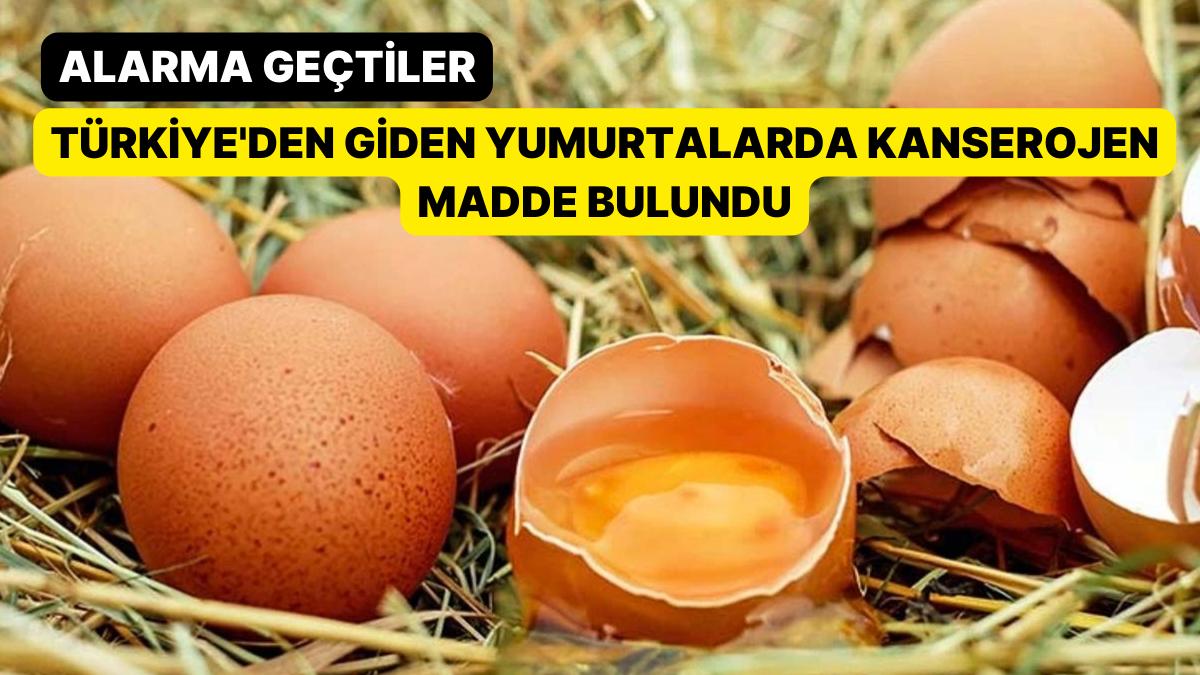 Alarma Geçtiler: Türkiye'den Giden Yumurtalarda Kanserojen Husus Bulundu