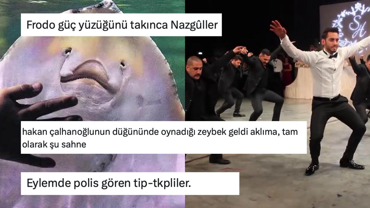 Bu Nasıl R? Kıyıda Bayır Aşağı Koşan Deniz Canlılarının Paylaşıldığı Görüntüye Gelen Birbirinden Komik Yorumlar