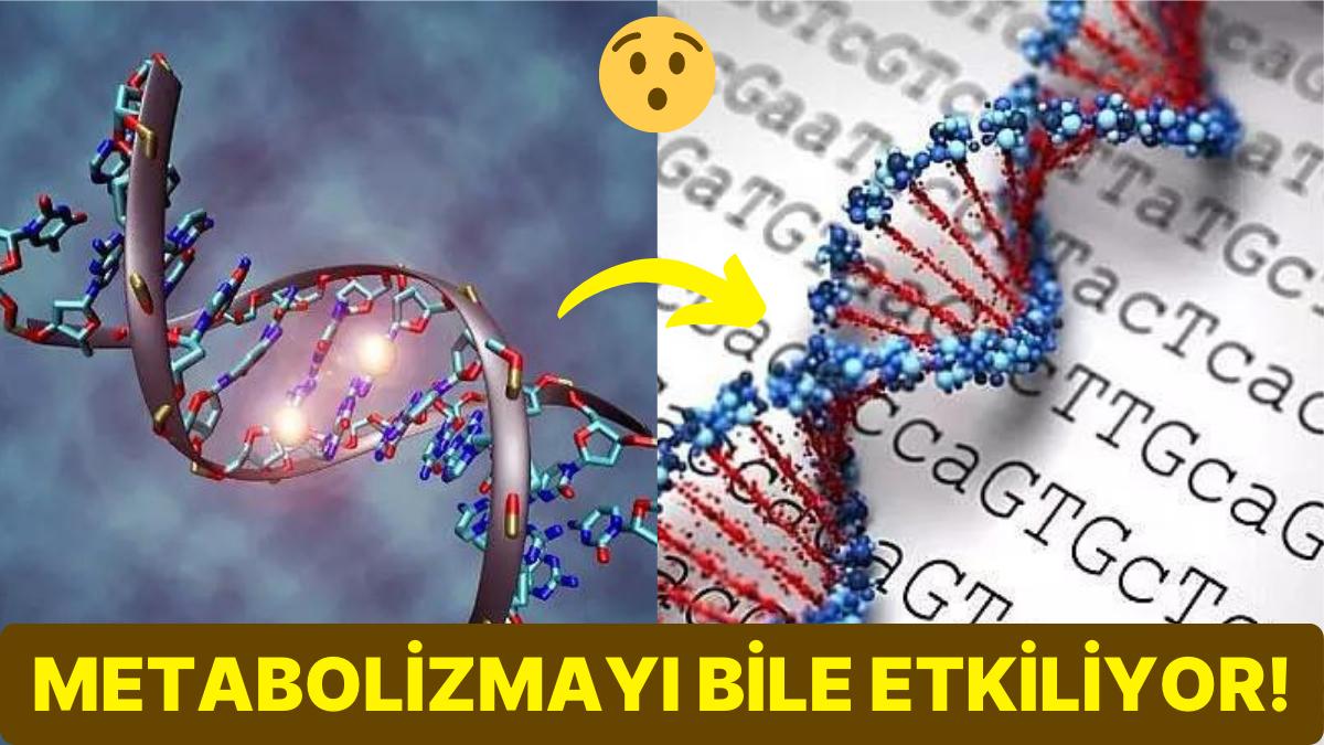 Canlıların En Değerli Yapı Taşlarından Biri Olan DNA'nın Sırları Ortaya Çıkarılabilir mi?