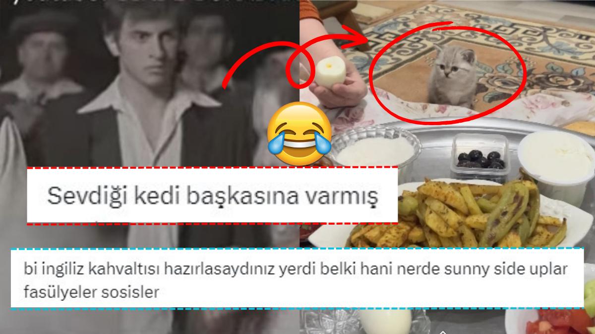 "Cins Kedi Ne Yer?" Sorusuna Verdikleri Baş Açan Karşılıklarla Kahkaha Krizine Sokan Kullanıcılar!