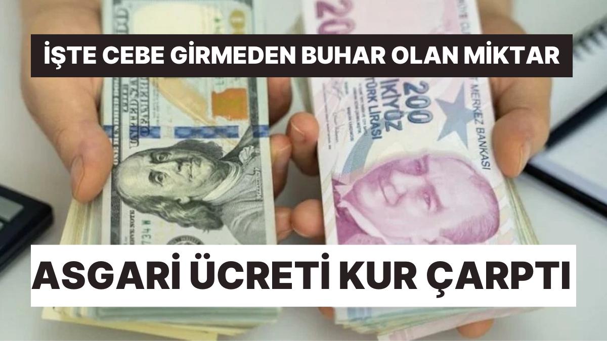 Dolar Yükseliyor, Taban Fiyat Eriyor! Daha Cebe Girmeden Kayıp Büyük