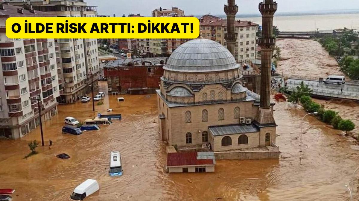 Ekosistem Uzmanından İkaz: 'Ölümcül Olayların Yüzde 67'lik Kesiti Temmuz Ayında Meydana Geliyor'