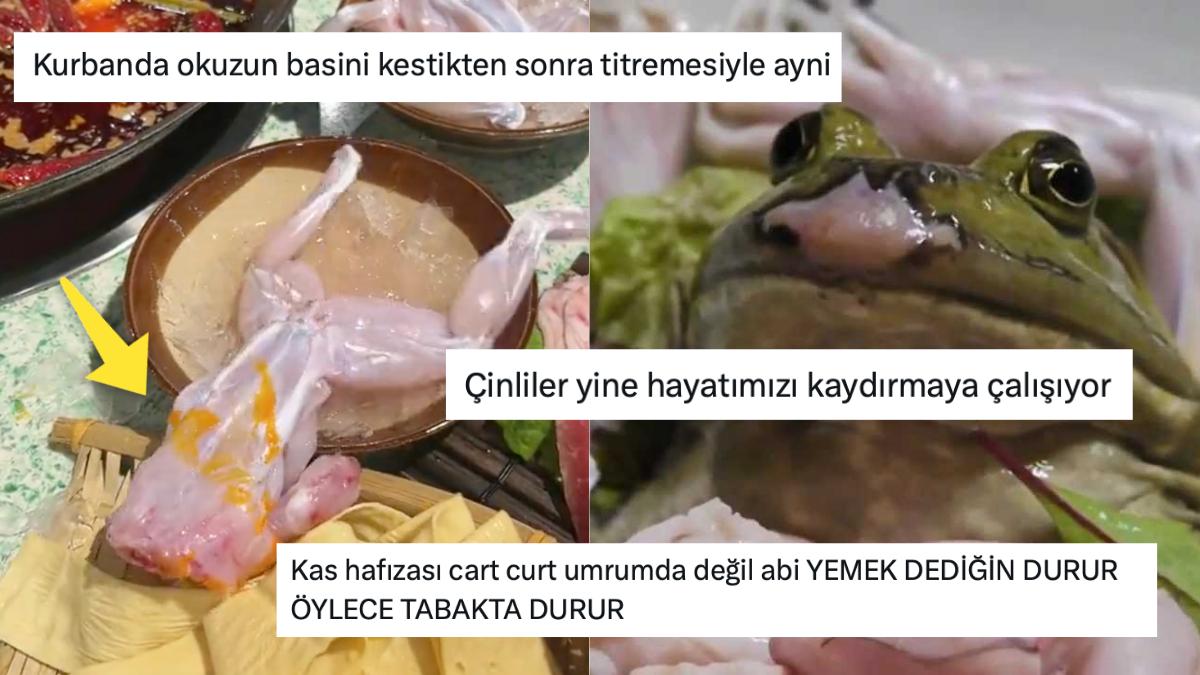 Yemek Tabağında Hareket Eden Derisi Yüzülmüş Kurbağaya Gelen Birbirinden Enteresan Reaksiyonlar