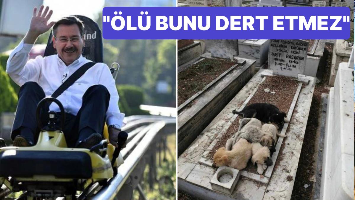 Melih Gökçek Mezarlıkta Yatan Köpekler İçin Mansur Yavaş'a Çatayım Derken Kendi Kitlesinen Bile Reaksiyon Gördü