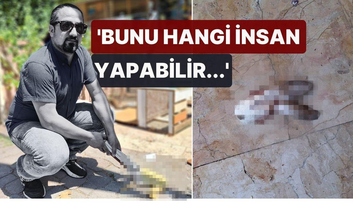 Pet Shop Önündeki Hayvanları Katlettiler! 'Bunu Hangi İnsan Yapabilir...'