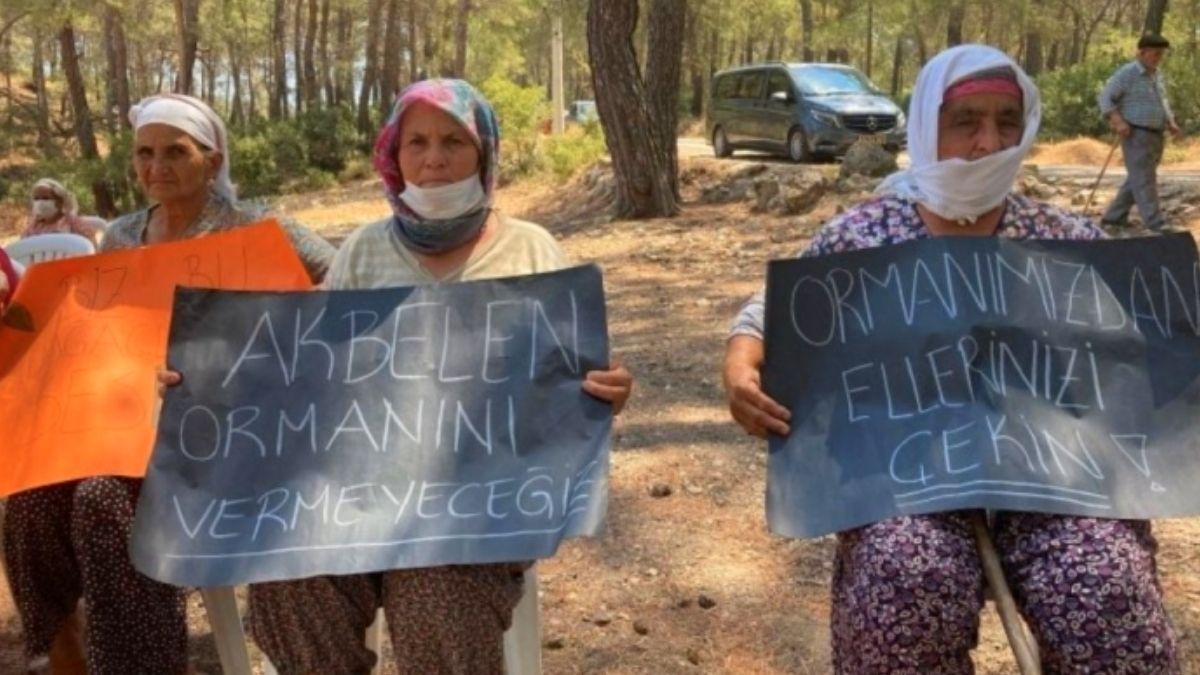 TBMM, Akbelen Ormanı İçin 8 Ağustos’ta İnanılmaz Toplanacak