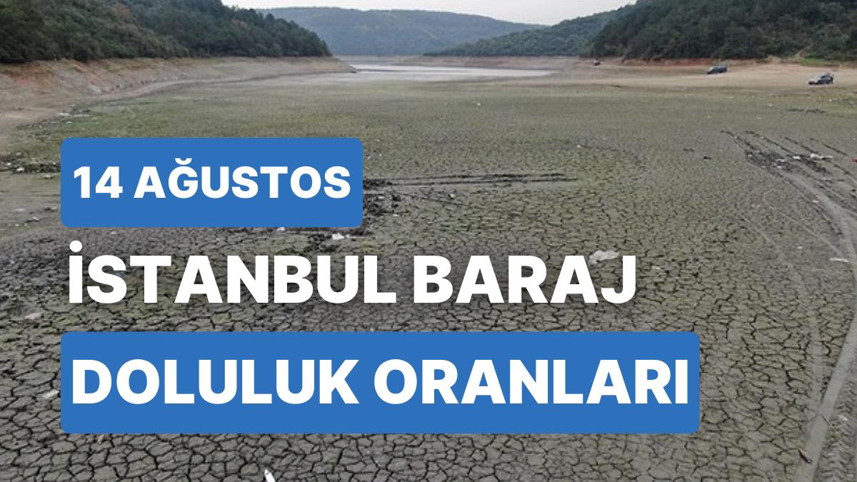 14 Ağustos Pazartesi İstanbul Baraj Doluluk Oranlarında Son Durum: İstanbul’da Barajların Yüzde Kaçı Dolu?