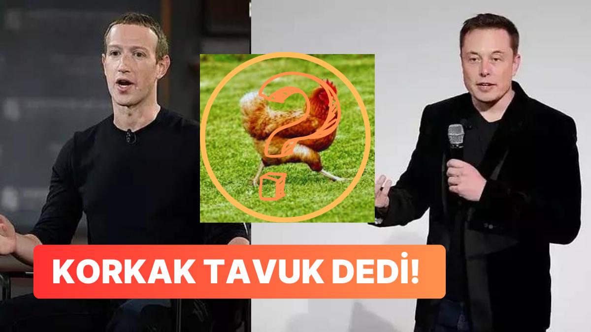 Elon Musk ve Zuckerberg Ortasındaki Dövüş Tartışması: Musk'tan Zuckerberg'e "Korkak Tavuk" Argümanı