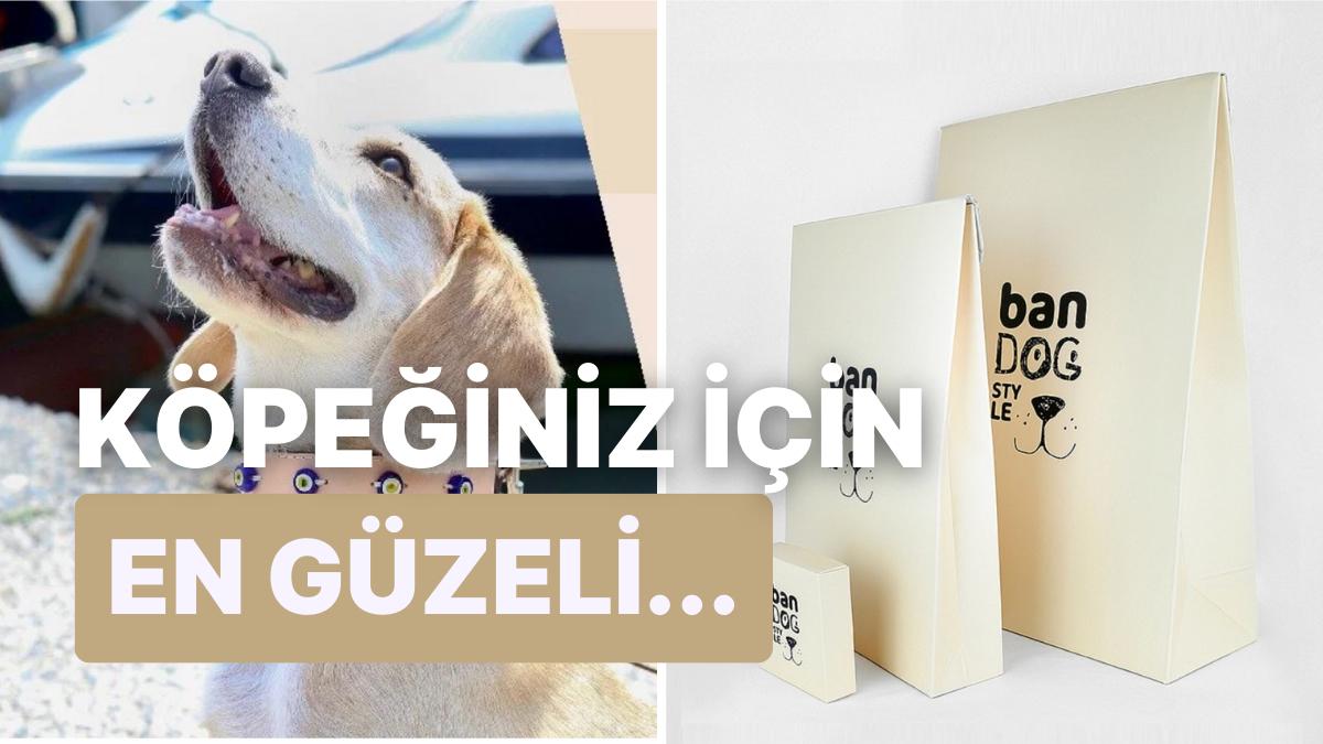 Köpeklerinizin Tam Bir Artist Üzere Görünmesini Sağlayacak Deri Aksesuarlar