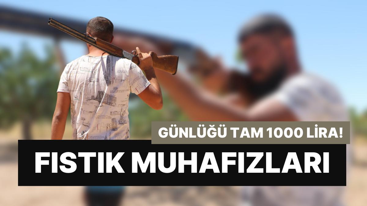 Meslekleri 'Fıstık Muhafızlığı': Çıkarları Günlük 1000 Lira